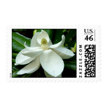 Magnolia Bloom Postage