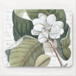 Magnolia Blossom and Clara Balfour Text Collage mousepads