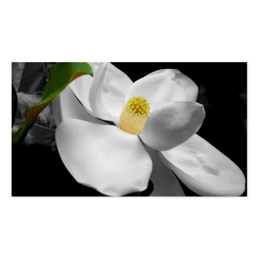 Magnolia Blossom Business Card (front side)