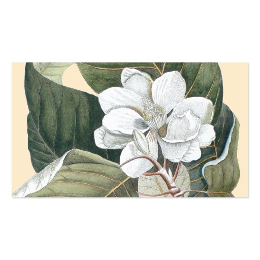 Magnolia Blossom Business Card - Garden Designer (back side)