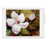 Magnolia & Blossom cards