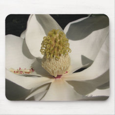 Magnolia Blossom Mousepad mousepad