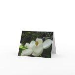 Magnolia Blossom Note Card Magnolia Blossom Note Card