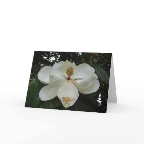 Magnolia Blossom Note Card card