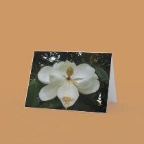Magnolia Blossom Note Card cards