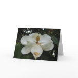 Magnolia Blossom Note Card Magnolia Blossom Note Card