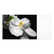 Magnolia Blossom Photo Cards photo cards by jaisjewels Magnolia Blossom Photo Cards photo cards