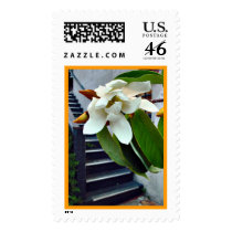 Magnolia blossom postage