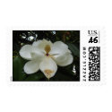 Magnolia Blossom Postage Stamp stamp