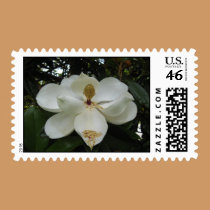 Magnolia Blossom Postage Stamp stamps