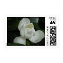 Magnolia Blossom postage stamp stamp
