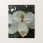 Magnolia Blossom Puzzle Magnolia Blossom Puzzle