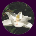 Magnolia Blossom Sticker stickers