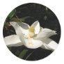 Magnolia Blossom Sticker