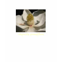 Magnolia Blossom T-Shirt by naturegirl7 Magnolia Blossom T-Shirt