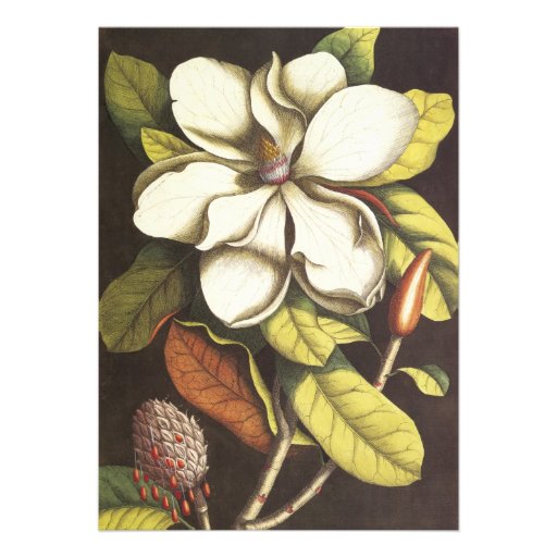 Magnolia Blossom Wedding Invitation