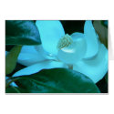 Magnolia Blues cards