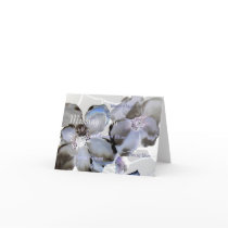 Magnolia Blues cards by mmargot Magnolia Blues cards