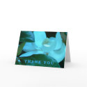 Magnolia Blues Thank You cards by codfishlady Magnolia Blues Thank You cards