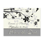 Magnolia branch black grey wedding Save the Date Post Cards