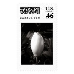 Magnolia Bud In Black and White postage