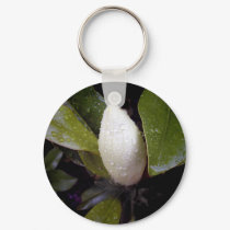 Magnolia Bud in Rain keychains by bhbphotos Magnolia Bud in Rain keychains