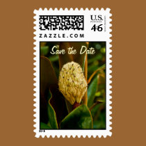 Magnolia Bud stamps