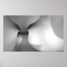 Magnolia Canvas Print
