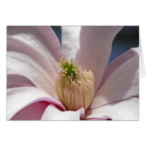 Magnolia cards by mlane53 Magnolia cards