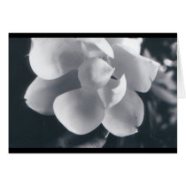 Magnolia cards by breewee Magnolia cards