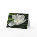 Magnolia Card