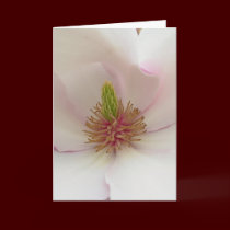 Magnolia Card White Blossom Card Personalize cards