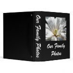 magnolia, centennial, centennials, bloom, blooms,
