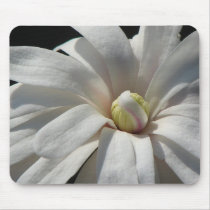 Magnolia Centennial  Bloom mousepads