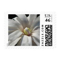 Magnolia Centennial  Bloom Postage