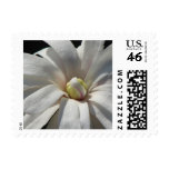 Magnolia Centennial  Bloom Postage