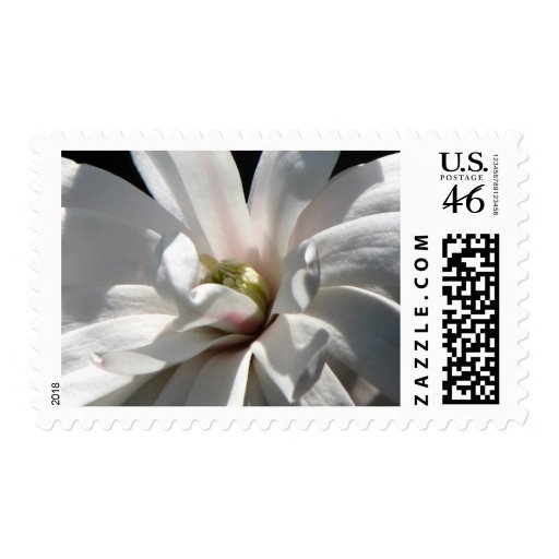 Magnolia Centennial  Bloom Stamps