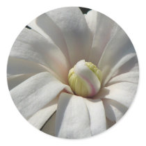 Magnolia Centennial Bloom stickers