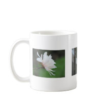 Magnolia Centennials mugs