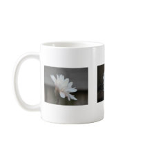 Magnolia Centennials mugs