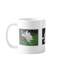 Magnolia Centennials mugs