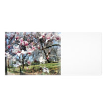 Magnolia Closeup by Fence Rack Card Design