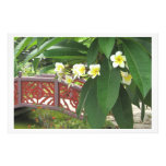 Magnolia Exotique Photo Print