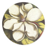 magnolia, magnolias, blossom, blossoms, envelope,
