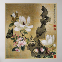 Magnolia Flower and Butterfly Ming Dynasty Posters