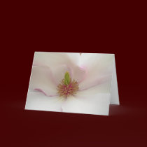 Magnolia Flower Card White Blossom Card cards