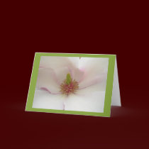 Magnolia Flower Card White Blossom Card cards