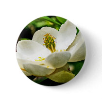 Magnolia Flower Close Up Pinback Buttons