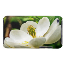 Magnolia Flower Close Up Ipod Touch Covers