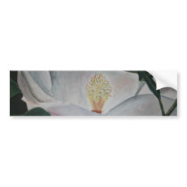 magnolia flower oil painting bumper stickers by dereklovessheila magnolia flower oil painting bumper stickers